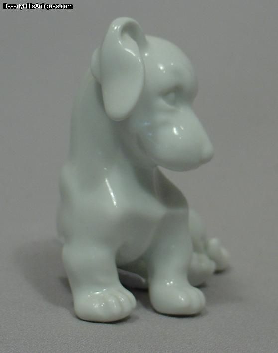 Beautiful White Austrian Porcelain Dachshund Puppy  