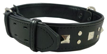 23.5 28 Studded Real Leather Dog Collar Rottweiler 2  