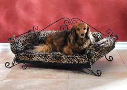 Wrought Iron Dog Bed with Leopard Print Cushion  