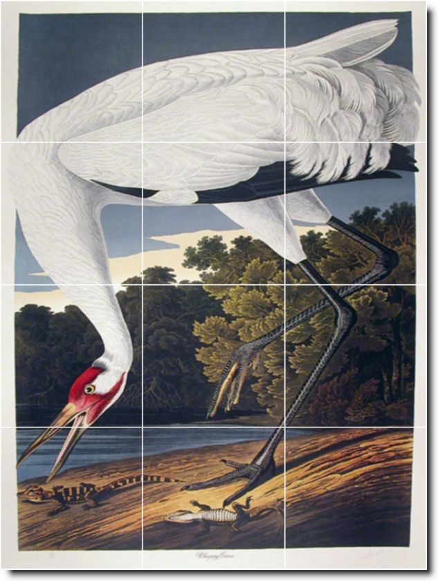 Whooping Crane Ceramic Tile Mural by John Audubon