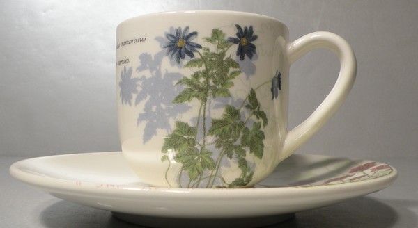 After Dinner Cup & Saucer Herbier du Roy Pattern Gien  