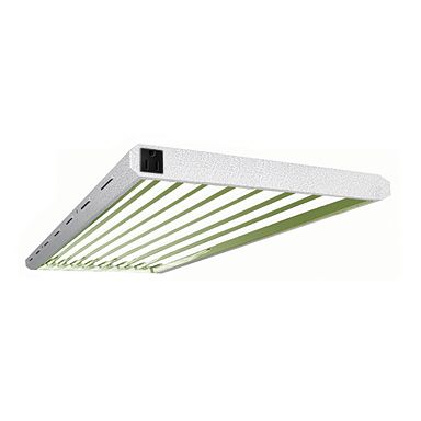 Sunleaves Pioneer VIII T5 Flourescent Grow Light  