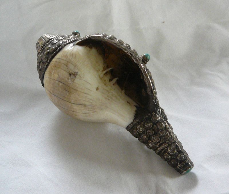 Tibetan Conch Shell w Beads & Endless Knot Motit s1558  