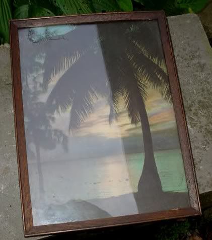 PALM TREE SEA SHORE OCEAN PRINT PICTURE oak frame  