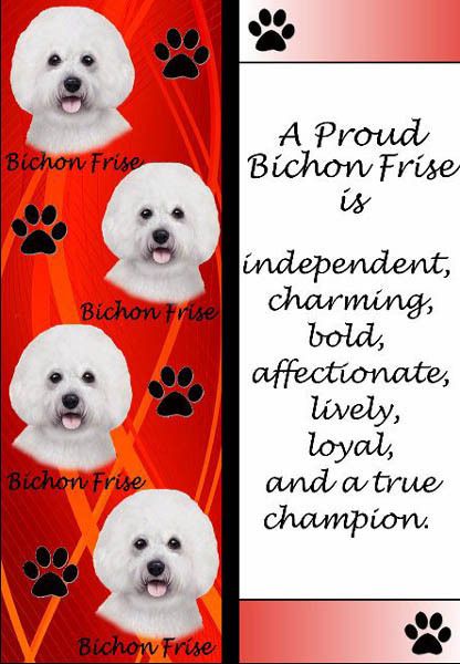 BICHON FRISE 3_D BOOKMARK DOG BREED BOOK MARK BOOKMARK   NEW  