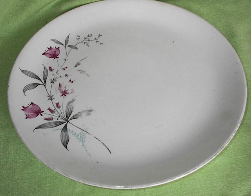 Vintage Canonsburg Simplicity Larkspur 10 Dinner Plate  