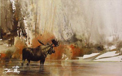 Morning Light by Morten Solberg Wildlife Moose Print  