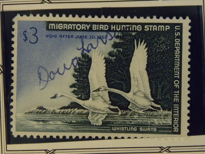 US Duck Stamp Collection M49  