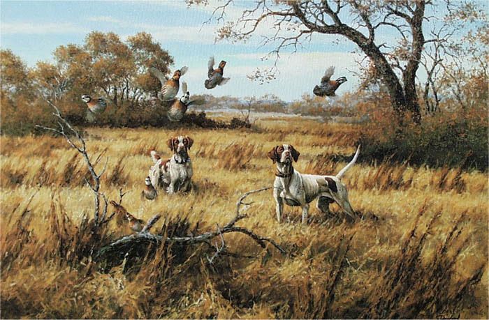 LOST POINT David Drinkard Quail Canvas Free Herb Booth  