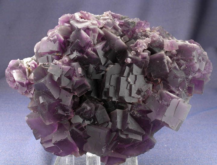 SPECTACULAR LARGE PURPLE FLUORITE CUBE CRYSTALS w WHITE PHANTOMS 