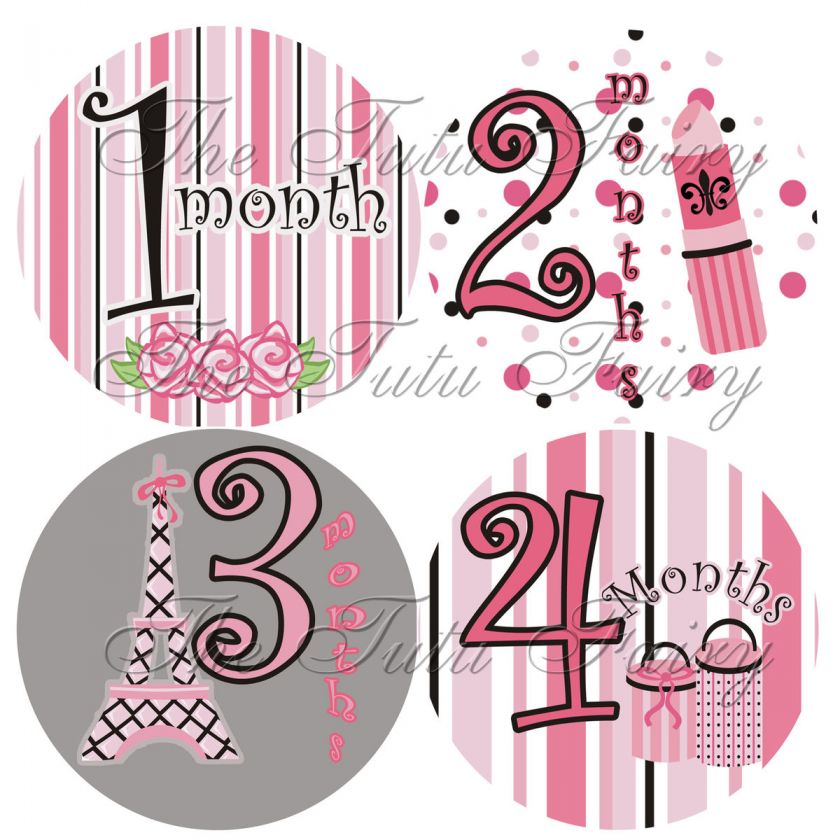 Baby monthly Onesie Stickers Milestone Paris Poodle Shower Gift 