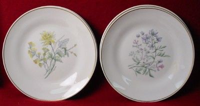 RICHARD GINORI china PRIMAVERA pttrn SALAD PLATE  