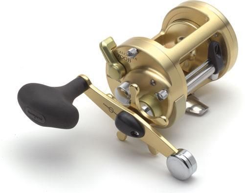 SHIMANO Calcutta CT700B Casting Fishing Reel NEW  